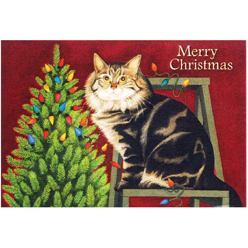 1004833 クリスマス　グリーティングカード  猫