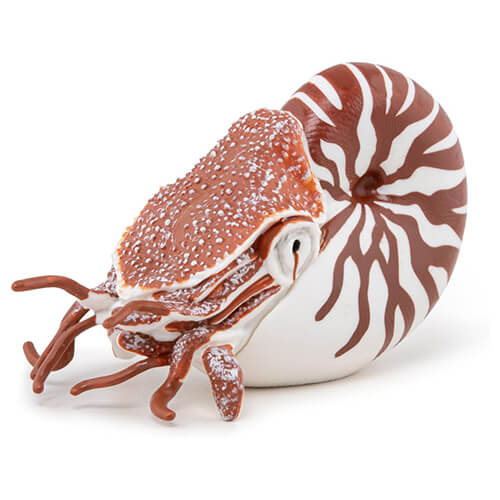 56061 Papo【オウムガイ】NEW