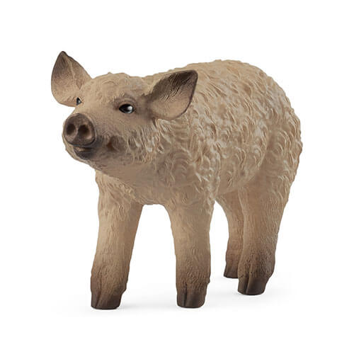 14893 schleich マンガリッツァ（仔） ｜動物・恐竜フィギュアのZOOO!