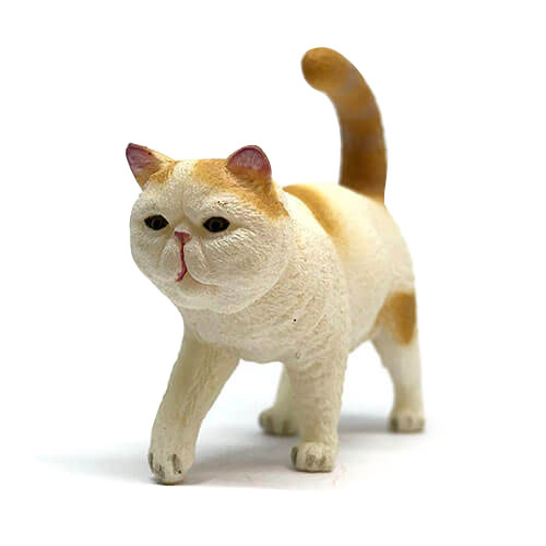 ねこ 88937 Collecta【エキゾチックショートヘア】｜動物・恐竜フィギュアの