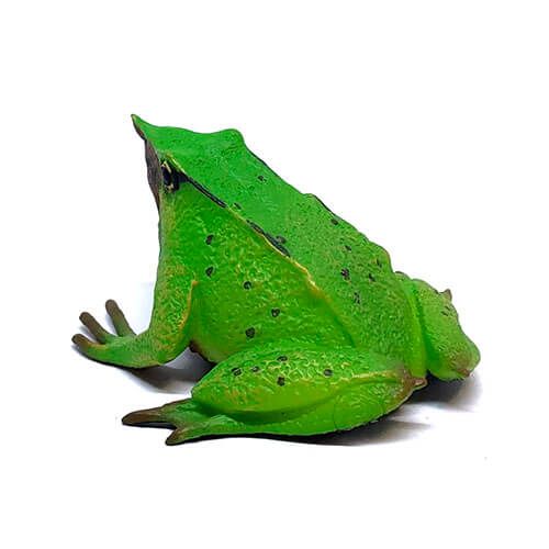 88938 Collecta【ダーウィンハナガエル】｜動物・恐竜フィギュアのZOOO!