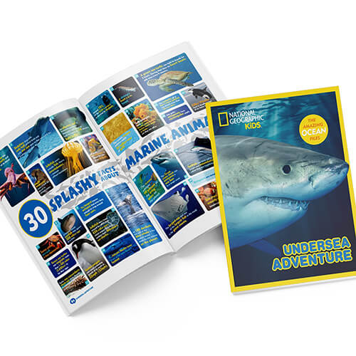 DS0974h CubicFun 海底アドベンチャー(3Dパズル)｜動物・恐竜