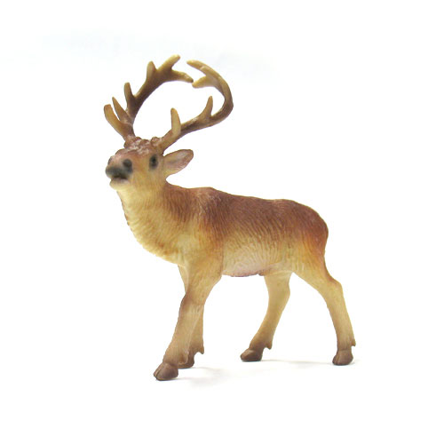 角のある動物特集 動物 恐竜フィギュアのzooo