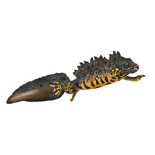 80064 Collecta【オオイモリ】NEW