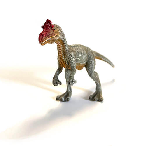 2 Collecta クリオロフォサウルス 動物 恐竜フィギュアのzooo 2 Collecta クリオロフォサウルス 動物 恐竜フィギュアのzooo