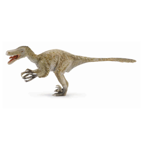 88407 Collecta【ヴェロキラプトルデラックス 1:6】｜動物・恐竜