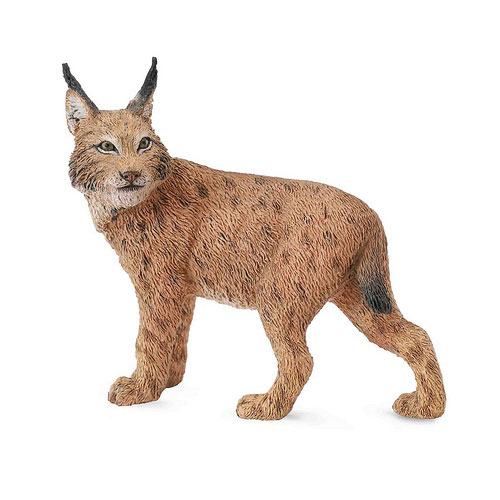 ライアの置物 88565 Collecta【リンクス】｜動物・恐竜フィギュアのZOOO!