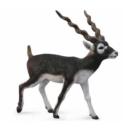 88638 Collecta【ブラックバック】｜動物・恐竜フィギュアのZOOO!