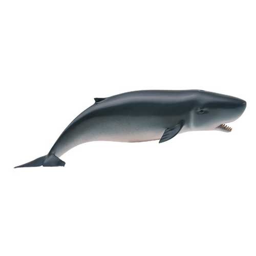 置物 88653 Collecta【コマッコウ】｜動物・恐竜フィギュアのZOOO!