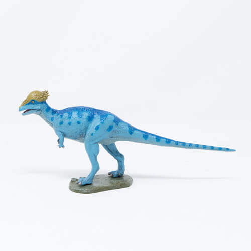 73329 Favorite【パキケファロサウルス ソフトモデル】FDW-022｜動物