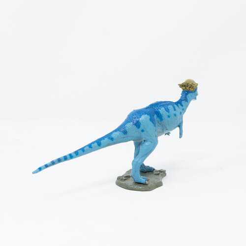 73329 Favorite【パキケファロサウルス ソフトモデル】FDW-022｜動物