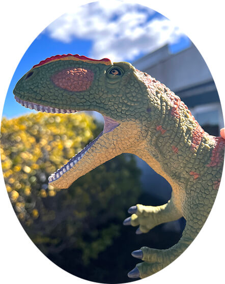 938491 Favorite【ギガノトサウルス ビニールモデル】70710 NEW