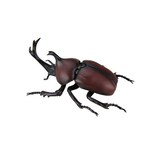 m170725 フジミ 自由研究21 カブトムシ｜動物・恐竜フィギュアのZOOO!