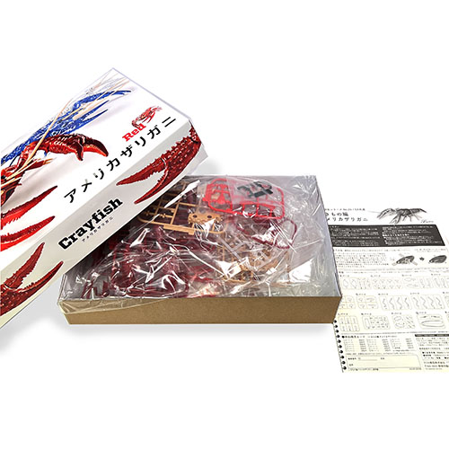 m171401 フジミ 自由研究24 アメリカザリガニ（レッド）｜動物・恐竜