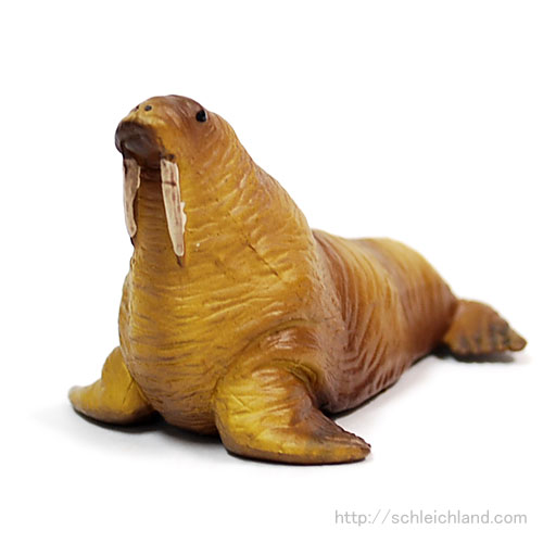 69102 MINIATURE PLANET 【セイウチ】｜動物・恐竜フィギュアのZOOO!