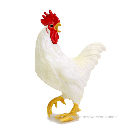 72255 MINIATURE PLANET 【白色レグホン（オス）】｜動物・恐竜