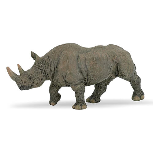 50066 Papo【クロサイ】