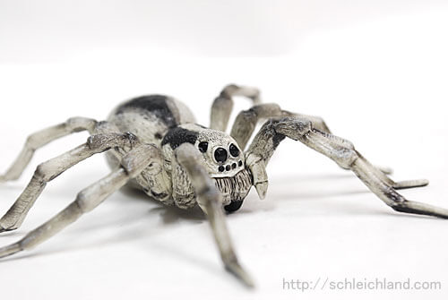 50190 Papo【タランチュラ】｜動物・恐竜フィギュアのZOOO!