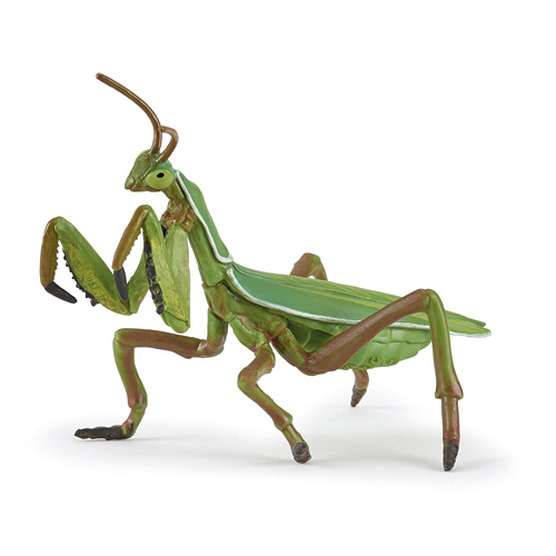 50244 Papo【カマキリ】