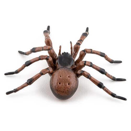50292 Papo【クモ】NEW｜動物・恐竜フィギュアのZOOO!
