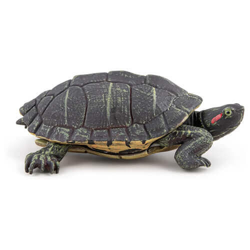 50309 Papo【カメ】NEW