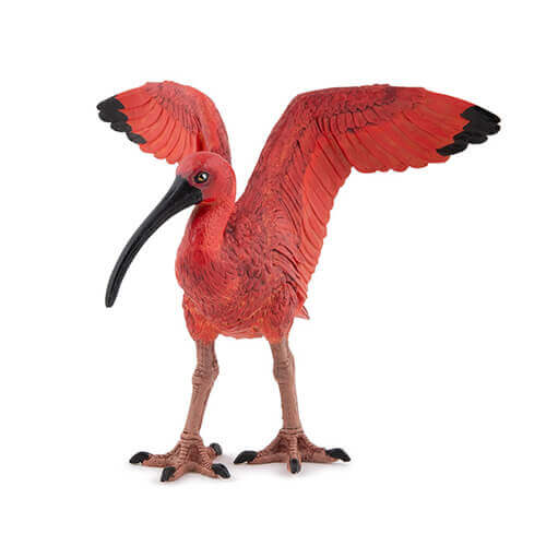 はしびろ 楽天市場】立つハシビロコウ Shoebill Stork 強化プラスチック