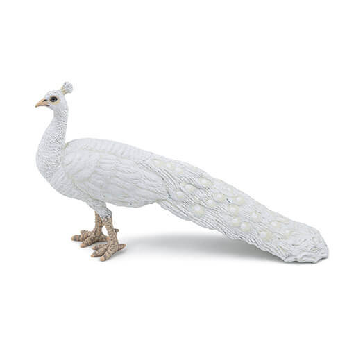 papo社パキノサウルスフィギュア Amazon.co.jp: Papo Giganotosaurus 141［並行輸入］ : おもちゃ