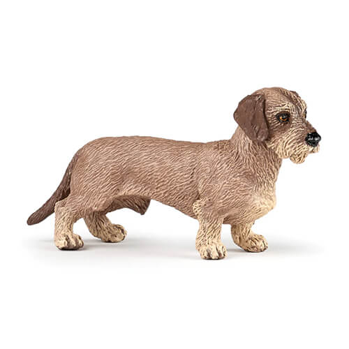 54043 Papo【ダックスフンド】NEW｜動物・恐竜フィギュアのZOOO!