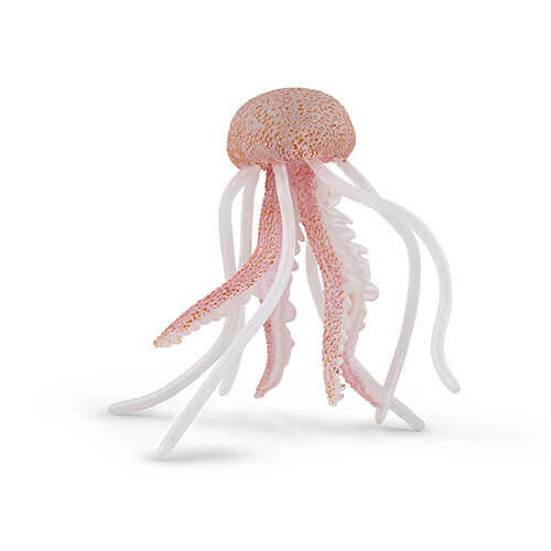 284529 Safari【トリケラトプス】（廃番）｜動物・恐竜