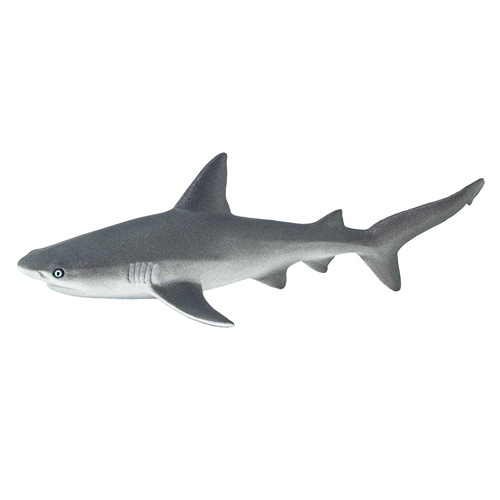 Safari オグロメジロザメ 動物 恐竜フィギュアのzooo