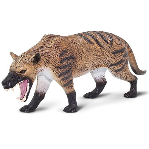 100126 Safari【ヒエノドン】