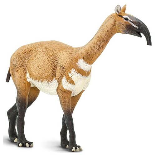 100127 Safari【マクラウケニア】