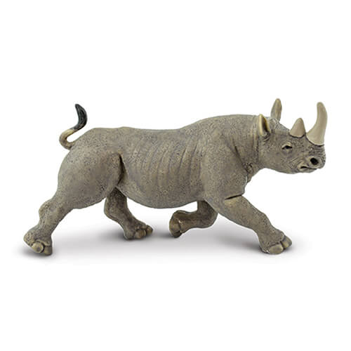 228929 Safari【クロサイ】