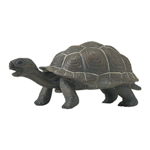 中古】サファリ レプリカ ガラパゴスゾウガメ(親) bme6fzu