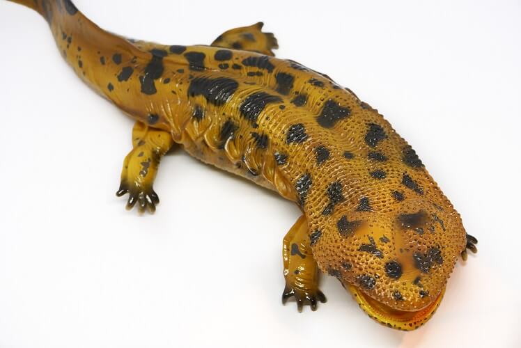 日本の絶滅危惧種のフィギュア特集 動物 恐竜フィギュアのzooo